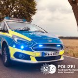 Polizeiauto mit Blaulicht vor Baum und Feld 