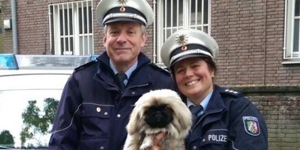 Zwei Polizeibeamte mit Hund des Verkehrsunfall-Opferschutzes